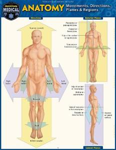 Anatomy - Directions, Planes, Movements amp; Regions