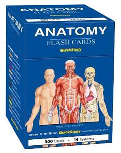 Anatomy Flash Cards: A Quickstudy Reference & Study Tool