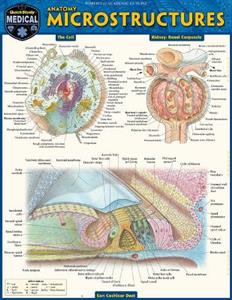 Anatomy Microstructures: A Quickstudy Laminated Reference Guide