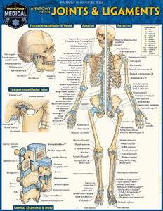 Anatomy of Joints & Ligaments: A Quickstudy Laminated Reference Guide