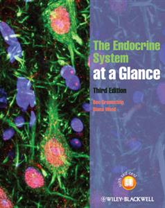 Endocrine System at a Glance, The