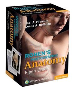 Rohen's Photographic Anatomy Flash Cards - Click Image to Close