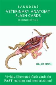 Veterinary Anatomy Flash Cards 2E