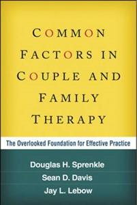 Common Factors in Couple and Family Therapy 2/e