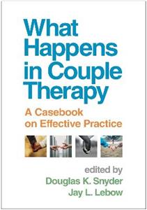 What Happens in Couple Therapy: A Casebook on Effective Practice - Click Image to Close