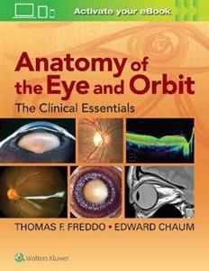 Anatomy of the Eye and Orbit - Click Image to Close