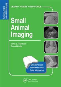 Small Animal Imaging - Click Image to Close