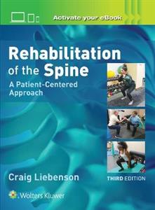 Rehabilitation of the Spine: A Patient-Centered Approach - Click Image to Close