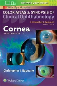 Cornea (Color Atlas and Synopsis of Clinical Ophthalmology) - Click Image to Close