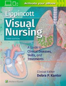 Lippincott Visual Nursing - Click Image to Close