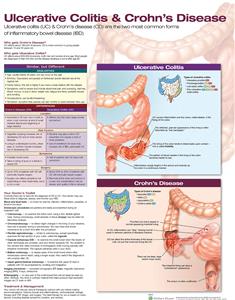 Ulcerative Colitis amp; Crohn's Disease