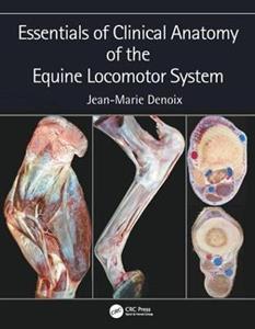 Essentials of Clinical Anatomy of the Equine Locomotor System - Click Image to Close