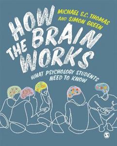 How the Brain Works: What Psychology Students Need to Know - Click Image to Close