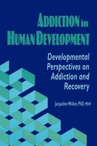 Addiction in Human Development - Click Image to Close