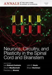 Neurons, Circuitry, and Plasticity in the Spinal Cord and Brainstem