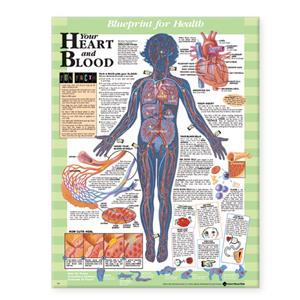Blueprint for Health Your Heart and Blood Chart - Click Image to Close
