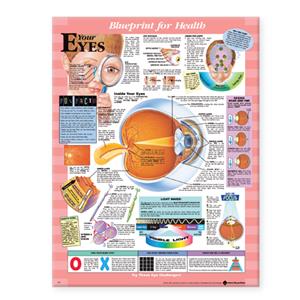 Blueprint for Health Your Eyes Chart - Click Image to Close