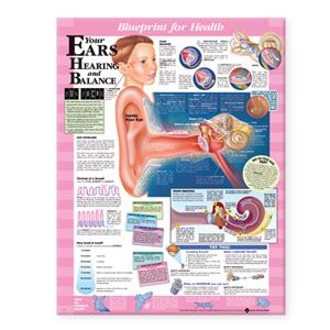 Blueprint for Health Your Ears Chart - Click Image to Close