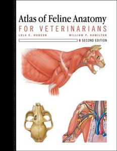 Atlas of Feline Anatomy For Veterinarians - Click Image to Close