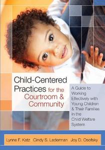 Child-Centered Practices for the Courtroom amp; Community 3/e