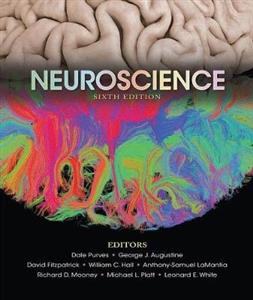 Neuroscience - Click Image to Close