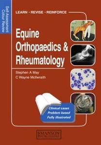 Equine Orthopaedics and Rheumatology - Click Image to Close