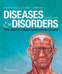 Diseases & Disorders: The World's Best Anatomical Charts
