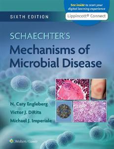 Schaechter's Mechanisms of Microbial Disease - Click Image to Close