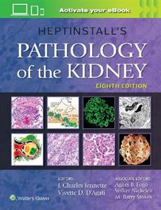 Heptinstall's Pathology of the Kidney - Click Image to Close