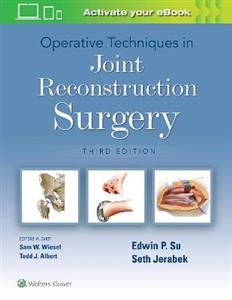 Operative Techniques in Joint Reconstruction Surgery - Click Image to Close