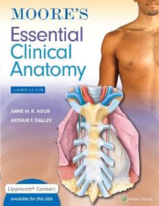 Moore's Essential Clinical Anatomy - Click Image to Close