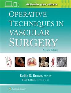 Operative Techniques in Vascular Surgery - Click Image to Close