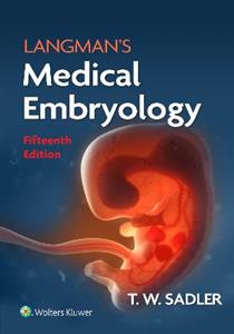Langman's Medical Embryology - Click Image to Close