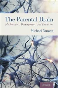 The Parental Brain Mechanisms Development and Evolution