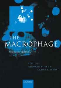 Macrophage