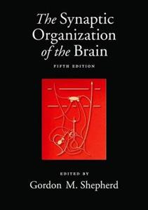 The Synaptic Organization of the Brain