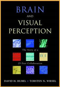 Brain and Visual Perception