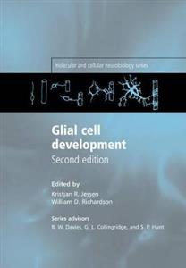 Glial Cell Development