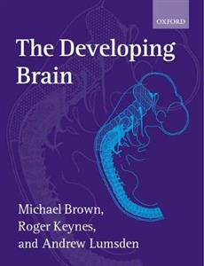 The Developing Brain