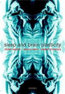 Sleep and Brain Plasticity