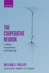 The Cooperative Neuron Cellular Foundations of Mental Life