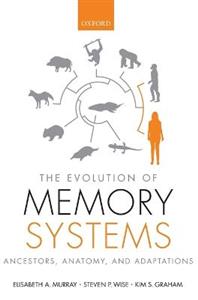 The Evolution of Memory Systems