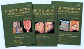 The Netter Collection of Medical Illustr