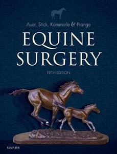 Equine Surgery 5e