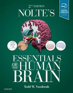 Nolte's Essentials of the Human Brain