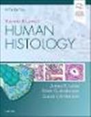Stevens amp; Lowe's Human Histology 5e
