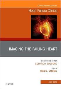 Imaging the Failing Heart