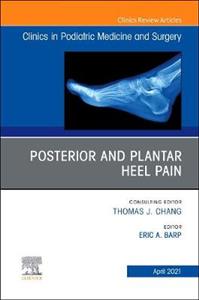 Posterior amp; Plantar Heel Pain