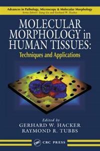 Molecular Morphology in Human Tissues