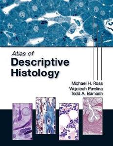 Atlas Of Descriptive Histology